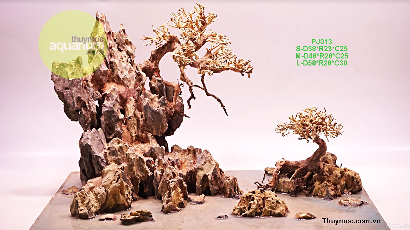 Trang trại Thuỷ Mộc Aquarium