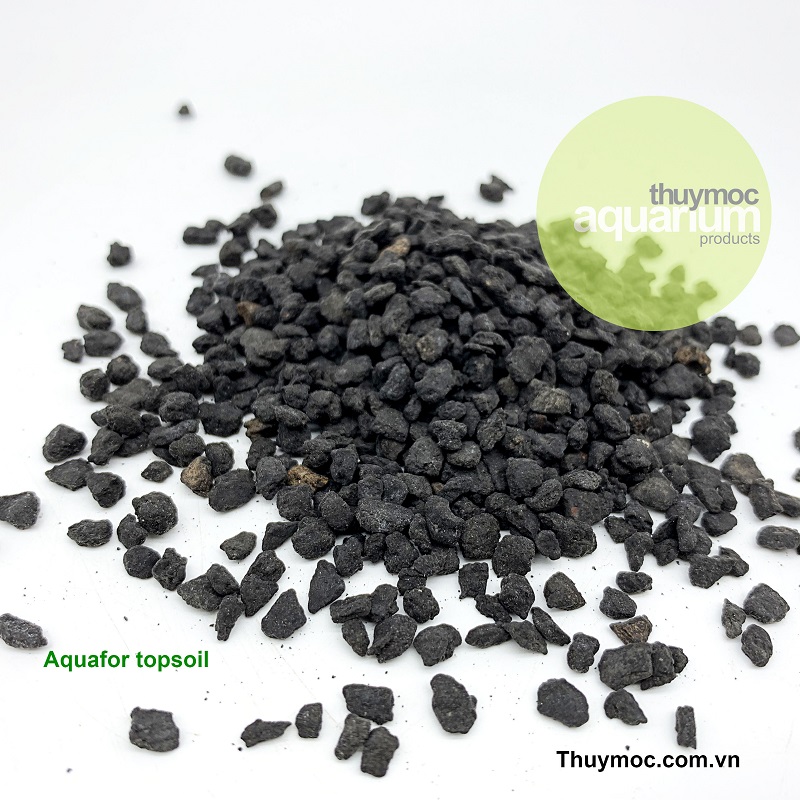 Trang trại Thuỷ Mộc Aquarium