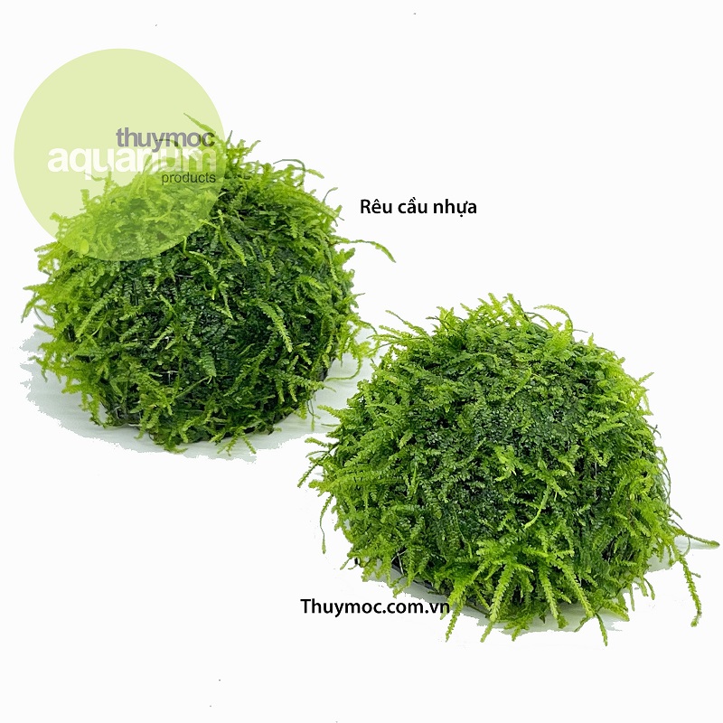 Trang trại Thuỷ Mộc Aquarium