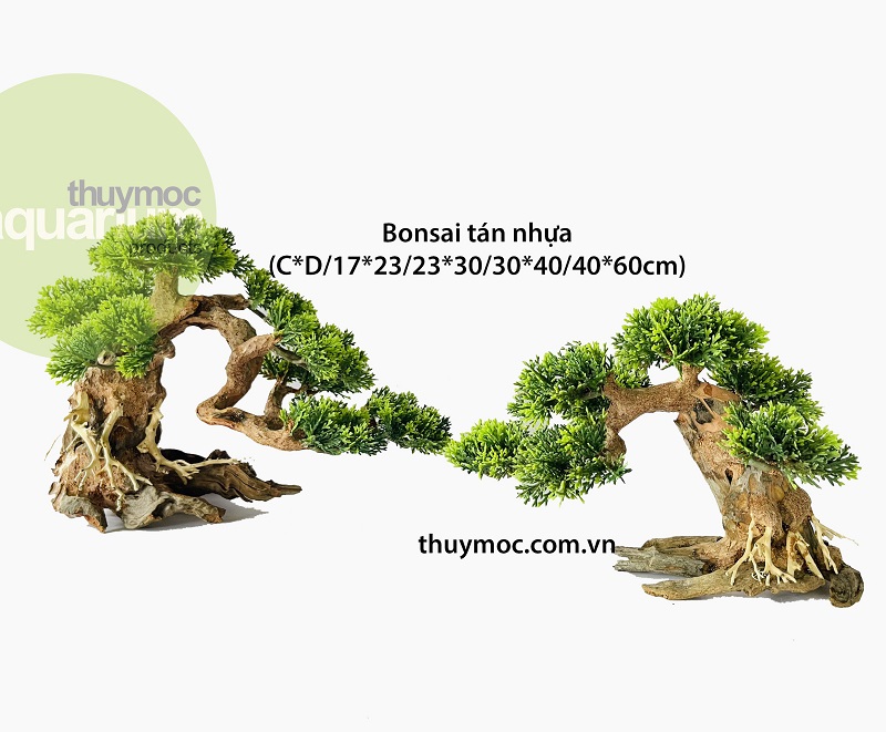 Trang trại Thuỷ Mộc Aquarium