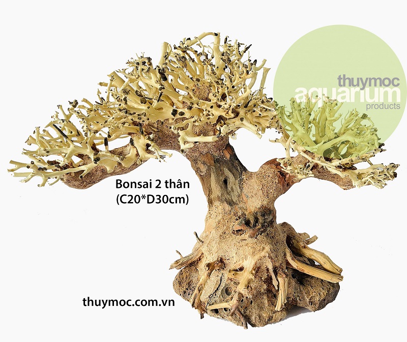 Trang trại Thuỷ Mộc Aquarium