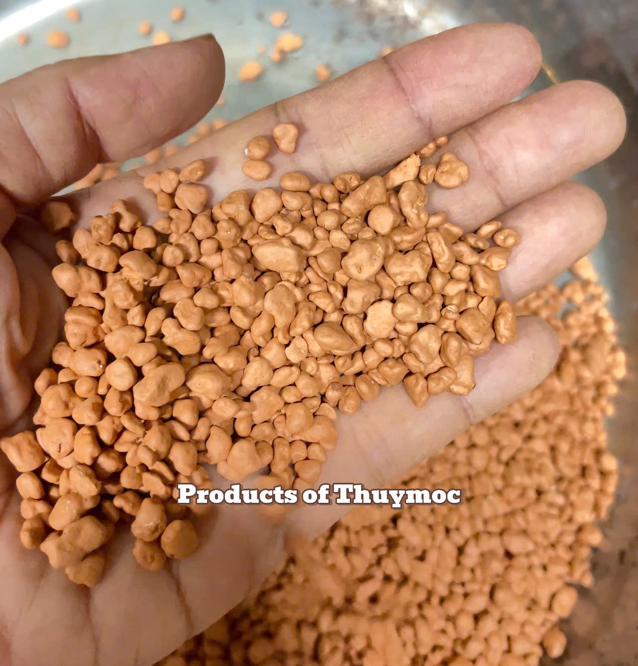 Trang trại Thuỷ Mộc Aquarium