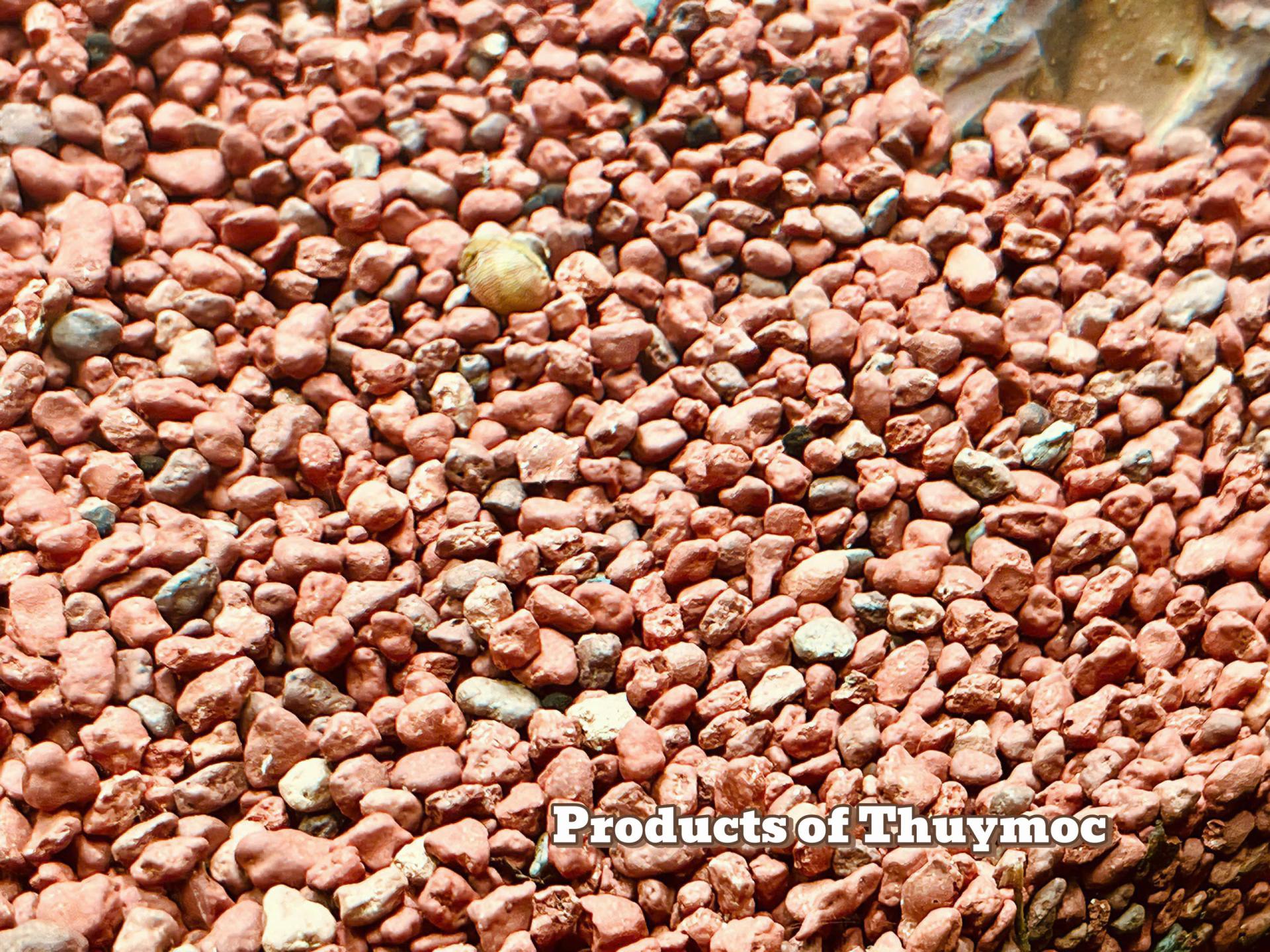 Trang trại Thuỷ Mộc Aquarium