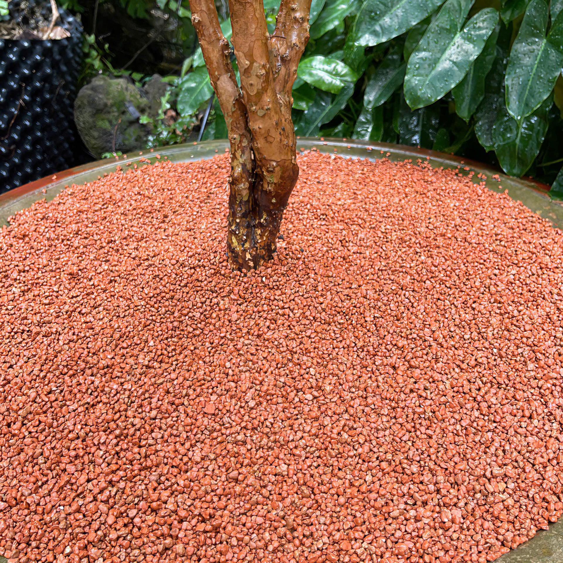 Trang trại Thuỷ Mộc Aquarium