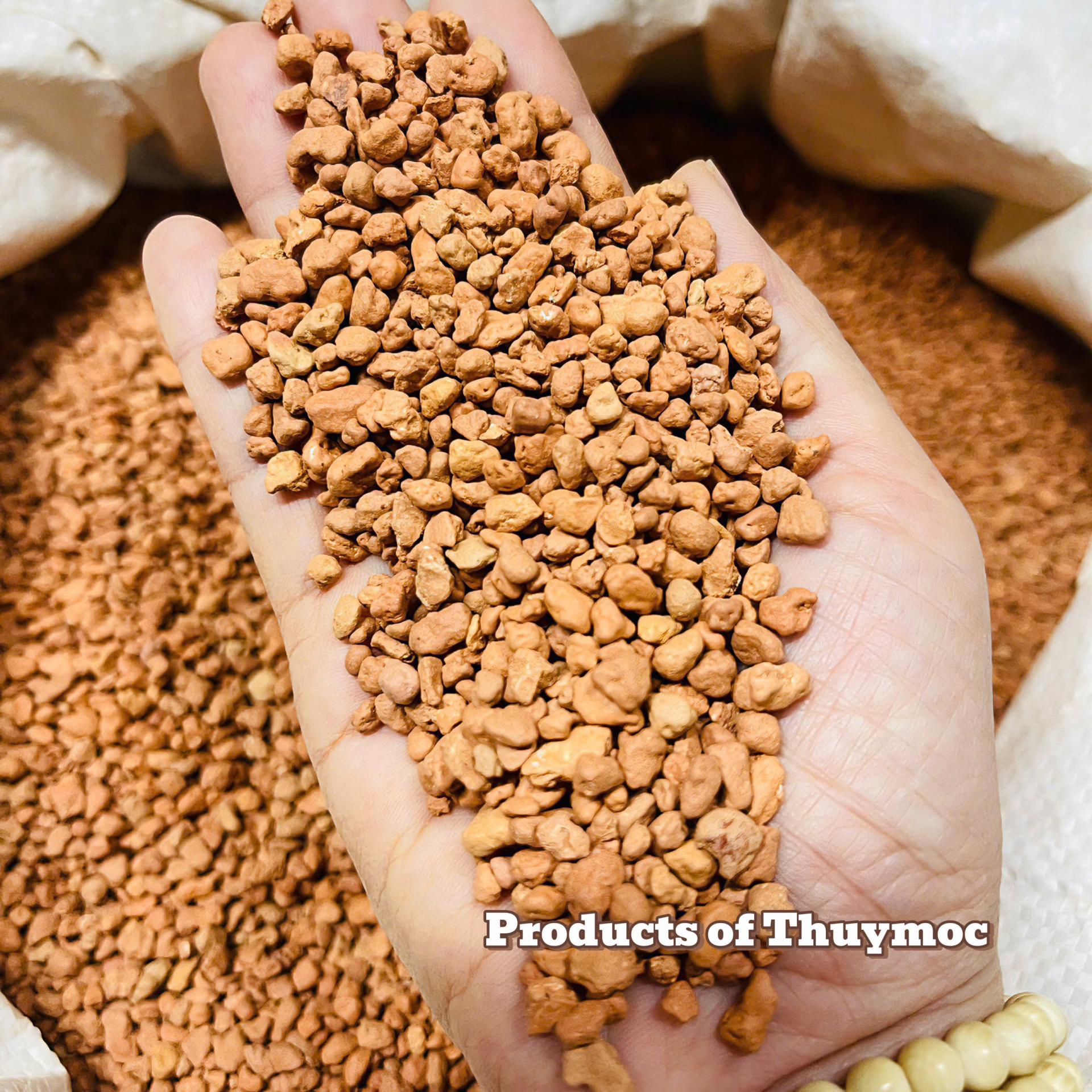 Trang trại Thuỷ Mộc Aquarium